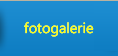 Fotogalerie